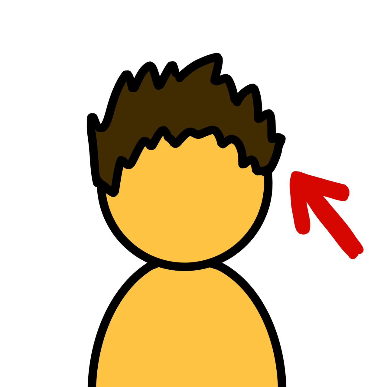 A simple drawing of a person with short hair, with a red arrow pointing at their hair