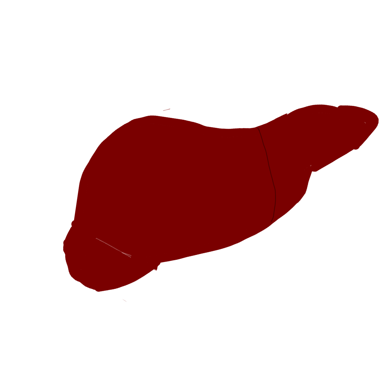 dark red symbol of a human liver.