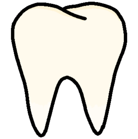 a human tooth.