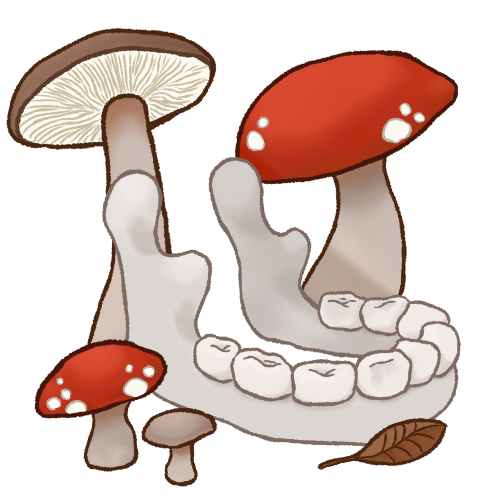 a human jawbone next to four mushrooms and a brown leaf. the image is shaded and painted. two of the mushrooms are red with white spots, while the other two are brown and plain. 