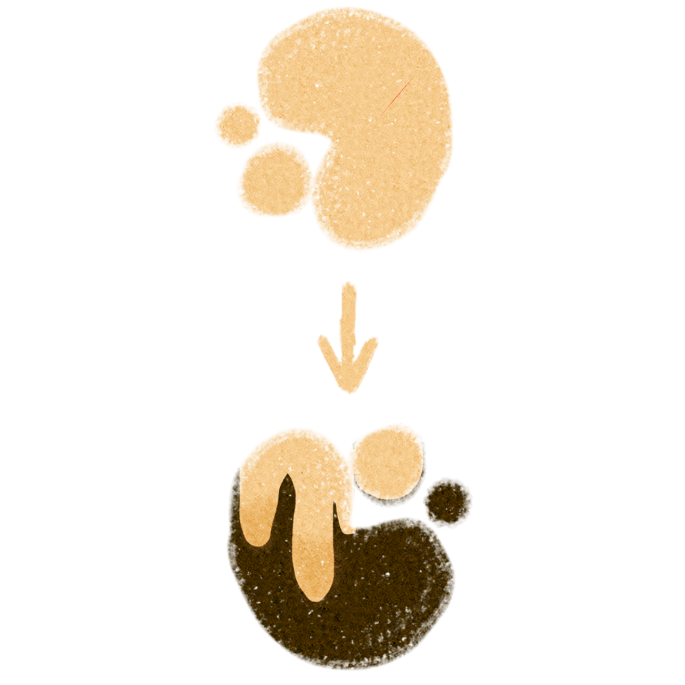  two blobs the one on top is a light peach tan colour under it there is the same tan coloured arrow pointing to the one on bottom that is a brown taupe colour that has the tan colour above dripping onto it.