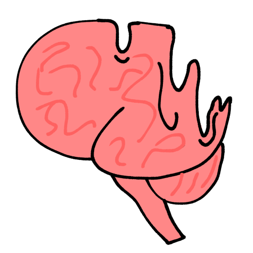 A drawing of a melting brain.