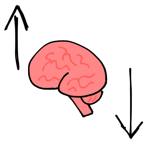 A drawing of a brain next to an up arrow and down arrow.