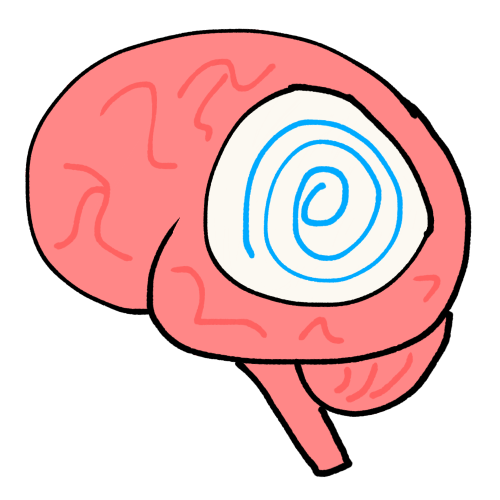 A drawing of a circle on a brain. Inside of the circle is a spiral.