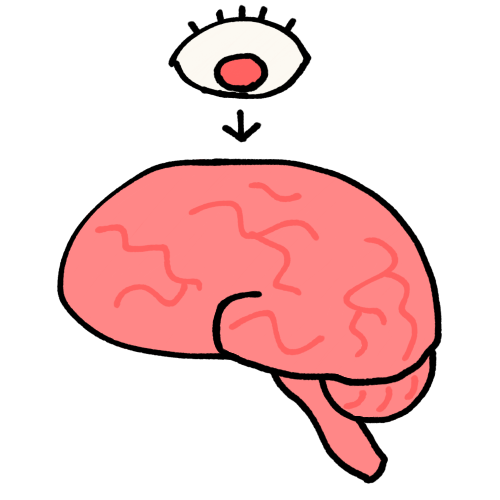 A drawing of an eye looking down at a brain.