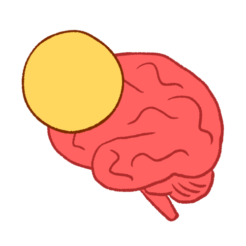 A drawing of a yellow circle in front of a brain.