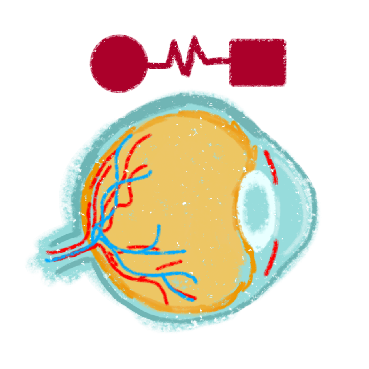 a simplified crayon textured diagram of the human eye, above it is a red circle connected to a squiggly line connected to a square.