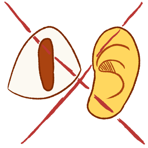 a drawing of an eye and an ear, both crossed out by the same large red X.