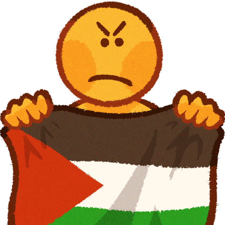  A person holding a big Palestinian flag in front of them. their face is angry