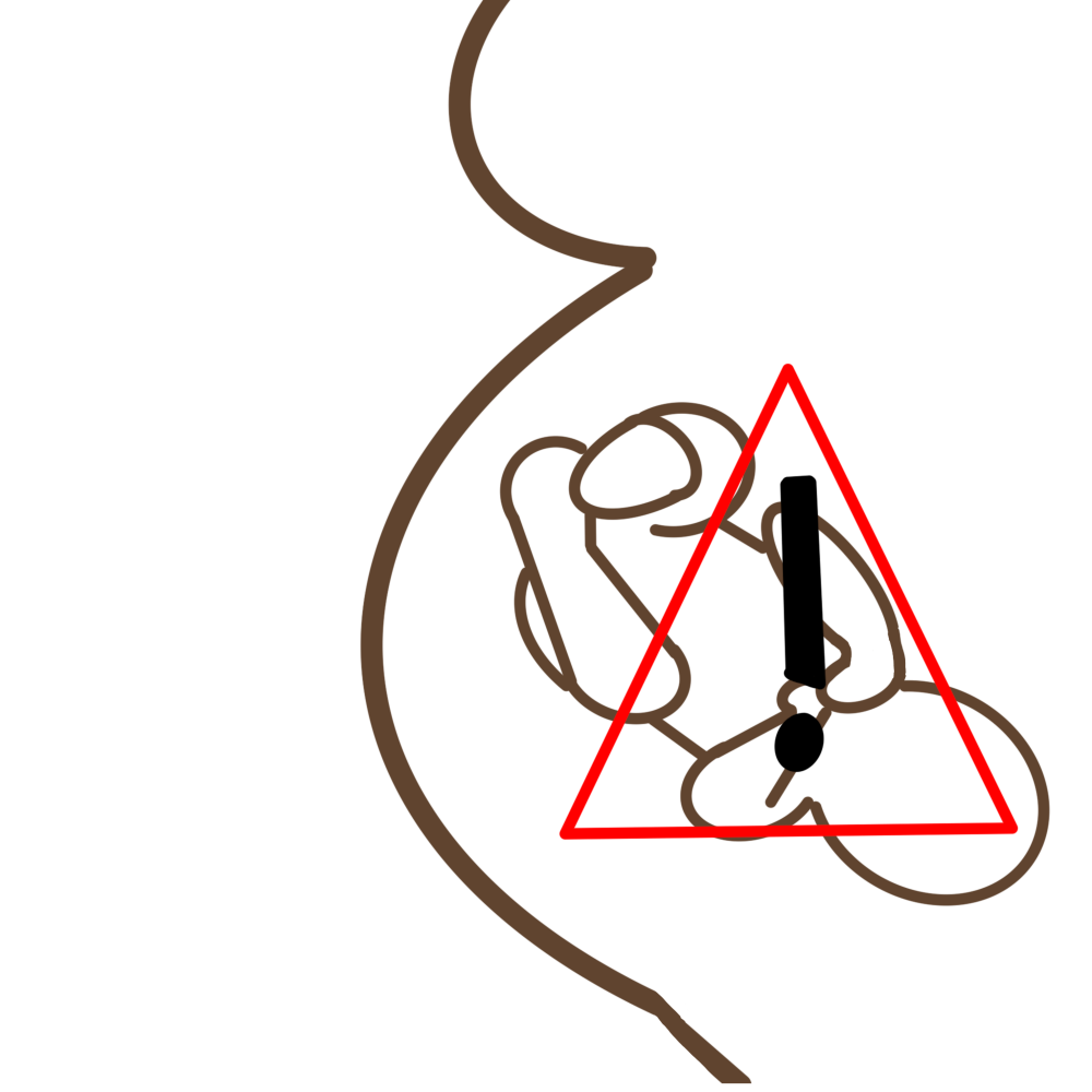 A simple drawing of a dark skinned pregnant person. You can just see the pregnant persons breast and stomach. The child is also visible in the stomach. On top of the child is a bright orange triangle with a large black exclamation point in the middle.
