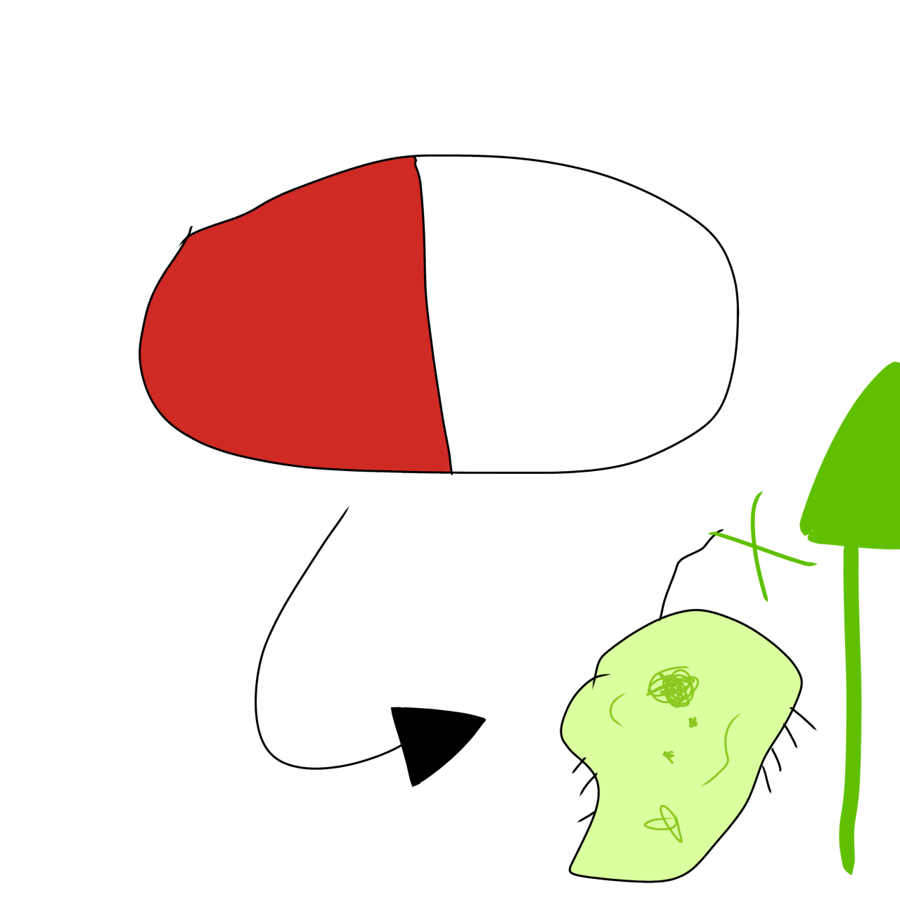 a pill with an arrow pointing to a wiggly green bacteria. the bacteria is next to a green up arrow and plus sign.