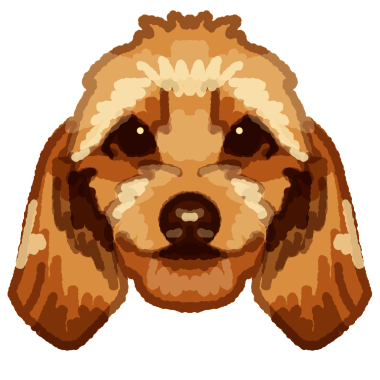 a front facing basset fauve de bretagne. it is symmetrical and has gold fur, with shading and highlights