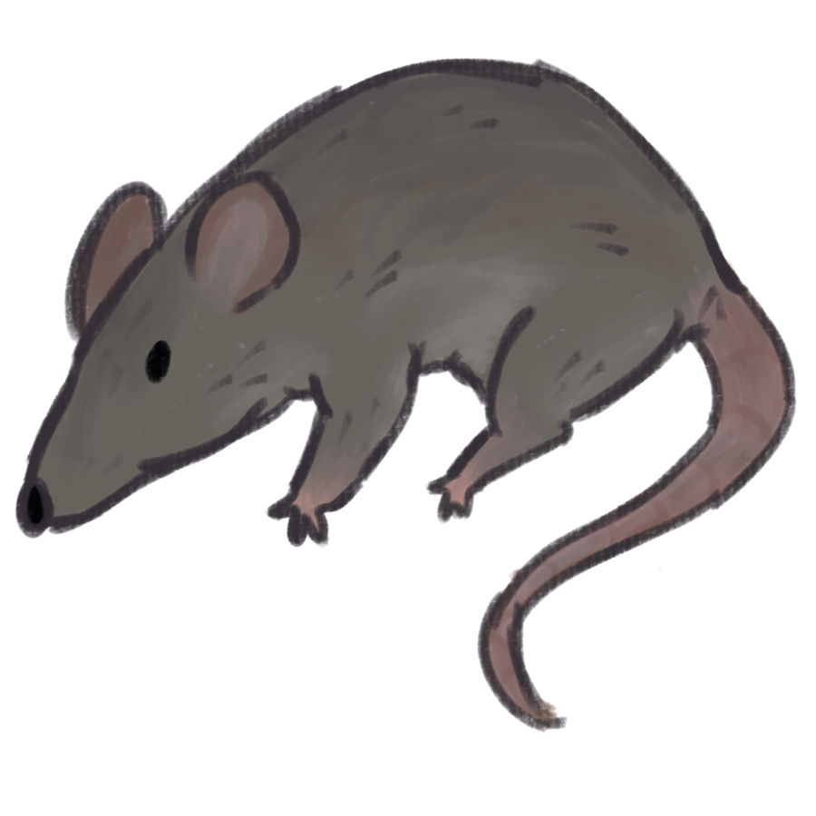 a painterly style drawing of a grey-brown rat with dirty pink ears and tail