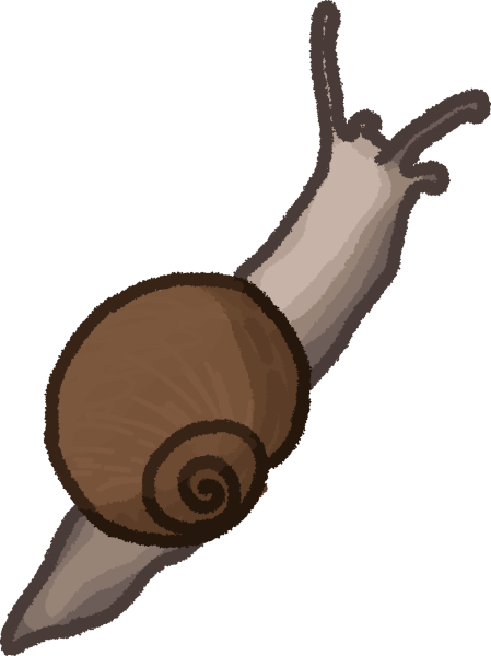 a slightly top-down view of a full cream snail with a brown spiral shell