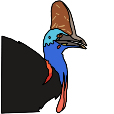 the head and neck of a cassowary facing the right. it is a large flightless bird with a scarred cranial horn, a red wattle, blue head, and black body feathers.