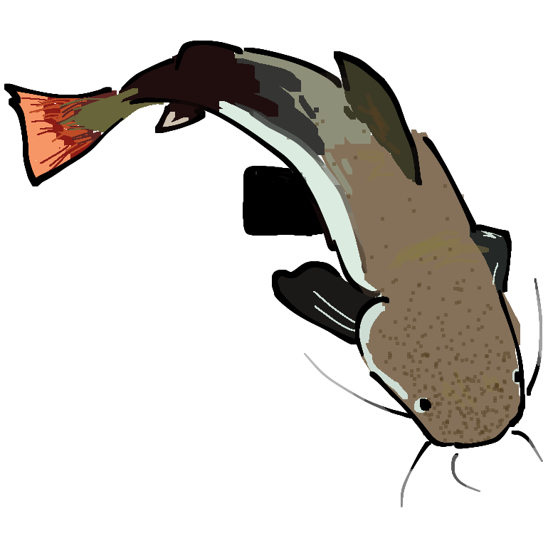 a speckled brown and grey catfish with a slightly red tail. The image has a white outline.