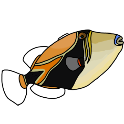 a humuhumunukunukuapua'a, which is a reef fish that is mostly black, orange and yellow, with clear fins.