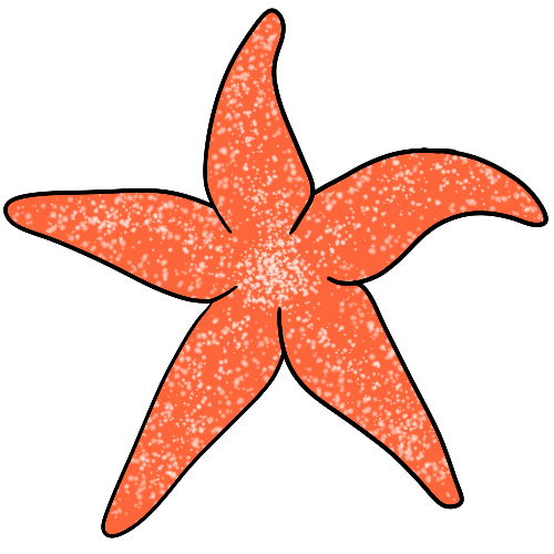 a common starfish.