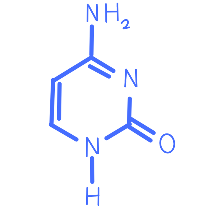 a drawing of the nucleobase Cytosine. It is made up of light blue lines, numbers, and letters.