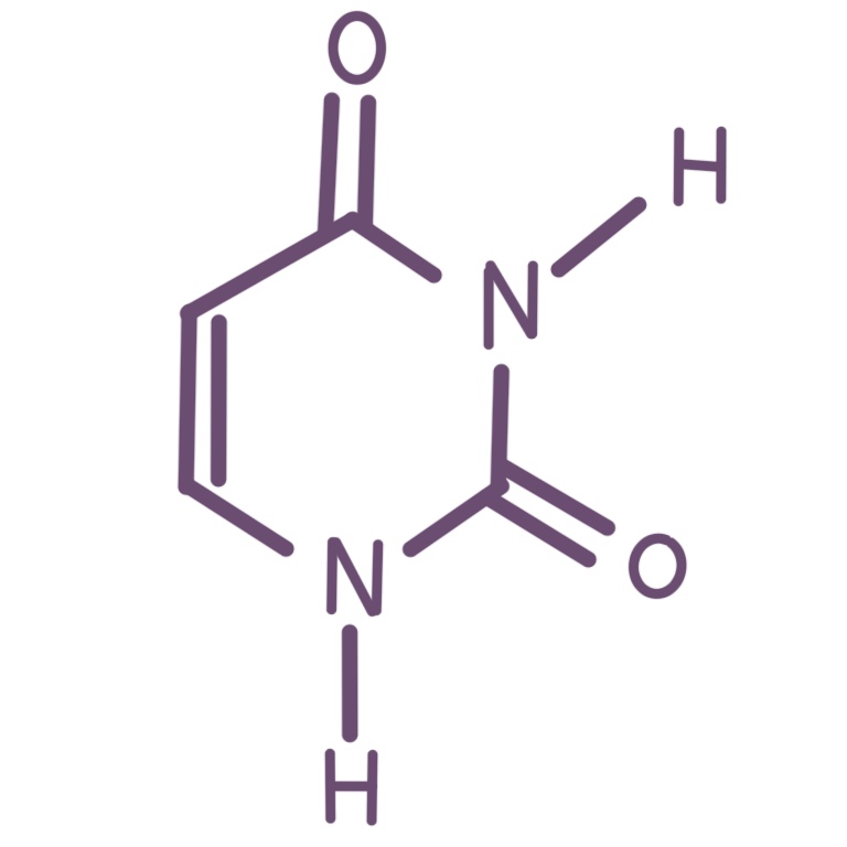 A drawing of the nucleobase Uracil. The drawing is made up of greyish-purple lines, letters, and numbers.