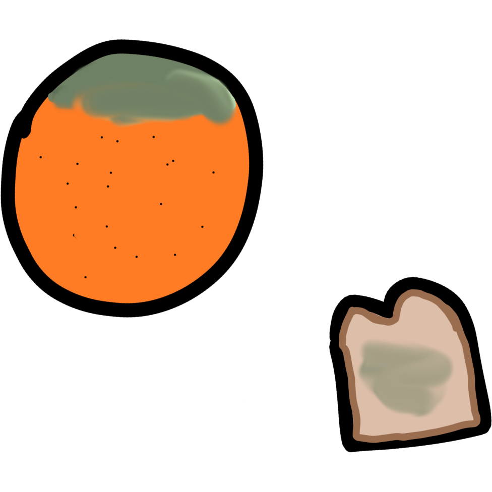an orange and a piece of bread, each with a smear of greenish mold.