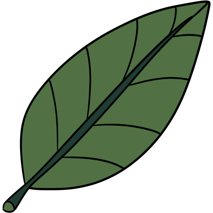 a green leaf