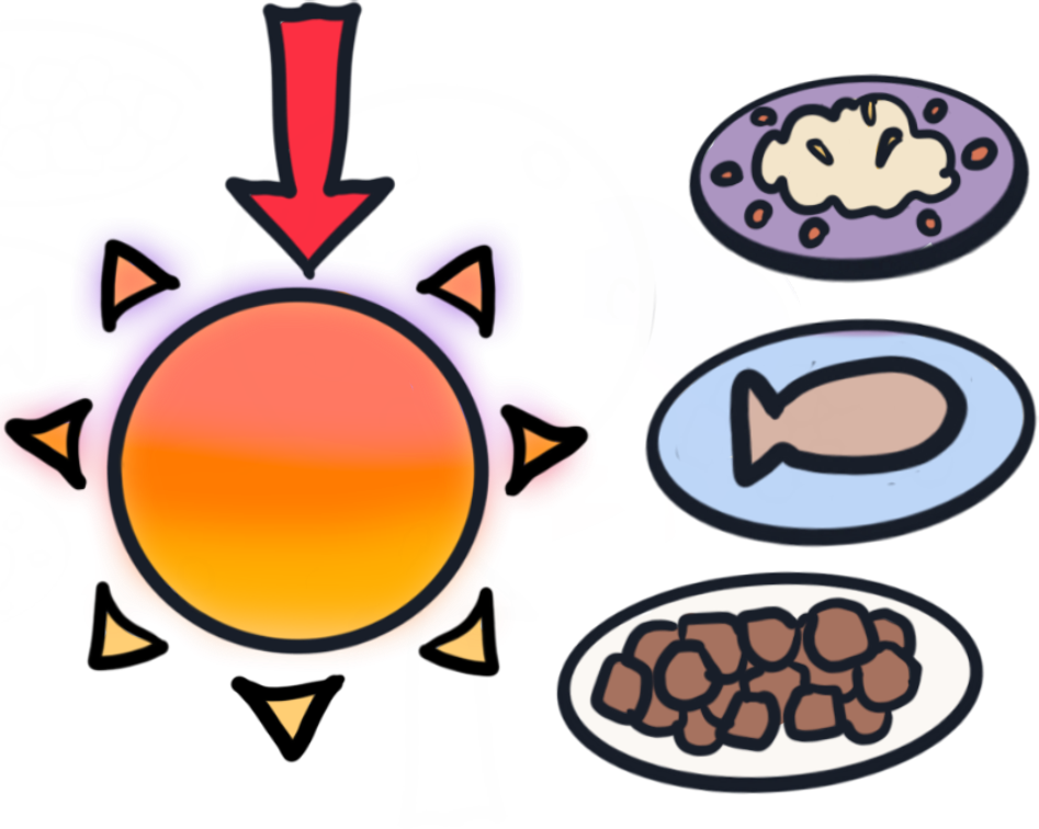 a set sun next to three dishes of different foods (rice, fish, and meat).