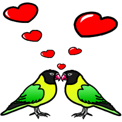 two brghtly coloured birds facing each other, a stream of red hearts coming from both of them.