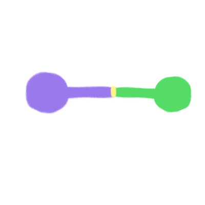 A purple circle and line connected to a green line and circle.