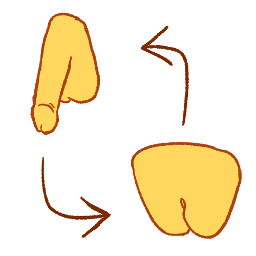 A drawing of a yellow penis across from a yellow vulva. An arrow points from the penis to the vulva, and another arrow points from the vulva to the penis.